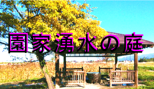 園家湧水の庭