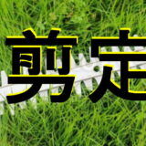 剪定のアイキャッチ画像