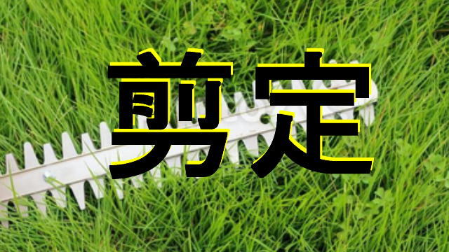 剪定のアイキャッチ画像