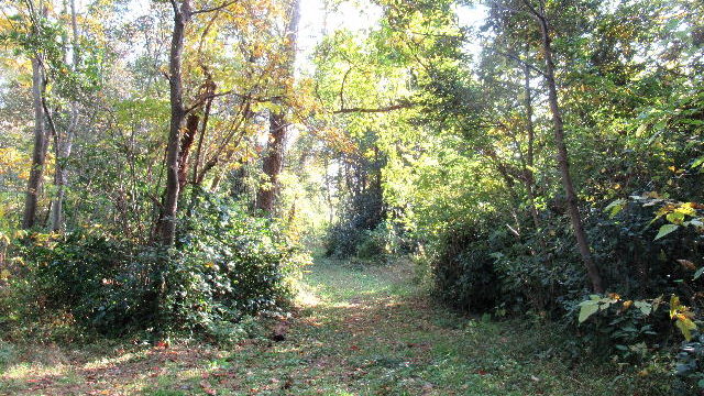 園家山一等三角点入口