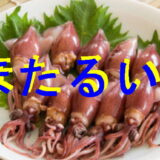 ホタルイカのアイキャッチ画像